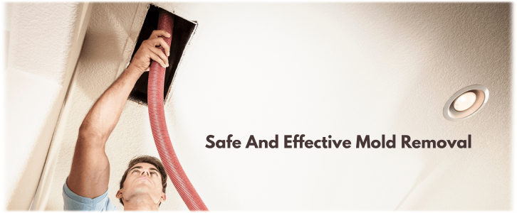 Air Duct Mold Removal in Irving