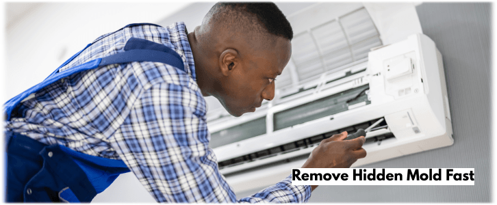 HVAC Mold Removal Irving